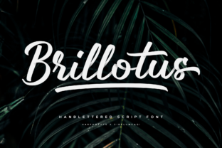 Brillotus: A Handwritten Font for Authentic Branding