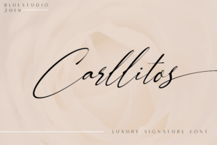 Carllitos Font: A Web Designer’s Review