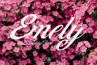 Emely Font Review: A Script Typeface for Campaigns