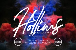 Hollims: A Designer’s Honest Review for Branding