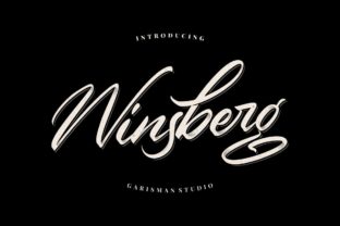 Winsberg: A Handwritten Typeface for Bold Branding